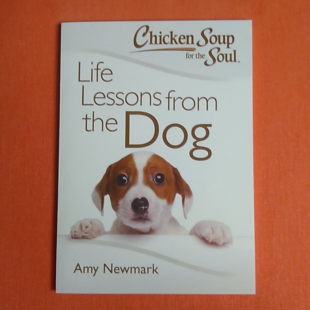 Life Lessons From The Dog A Chicken Soup Book